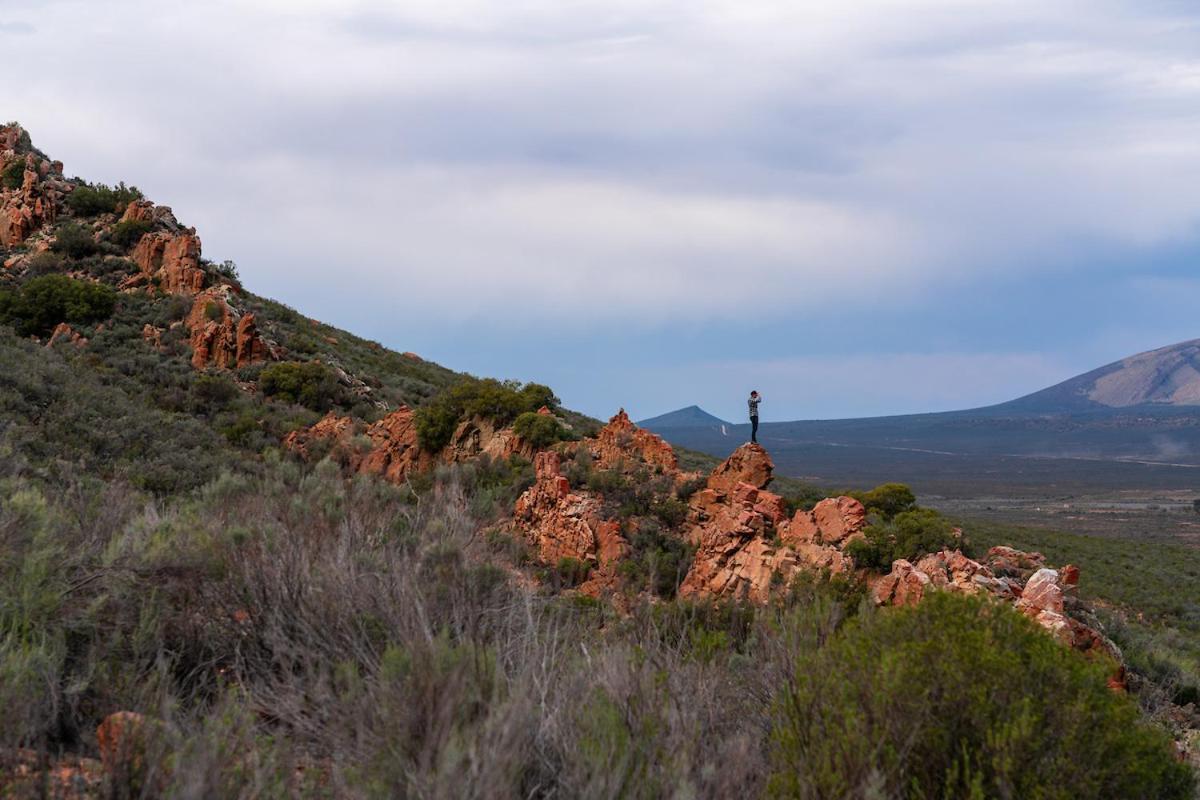 Gecko Rock Private Nature Reserve Goedgemoed Екстериор снимка